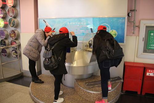 樂于探索，熱愛科學(xué) 酒店管理系青年志愿者赴科技館開展專業(yè)融合之旅